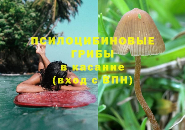 эйфоретик Михайловка